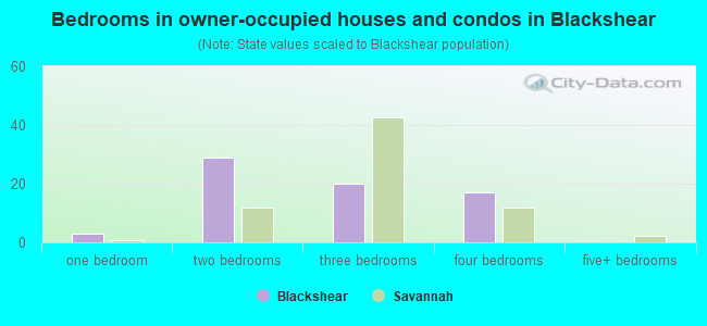 Bedrooms in owner-occupied houses and condos in Blackshear