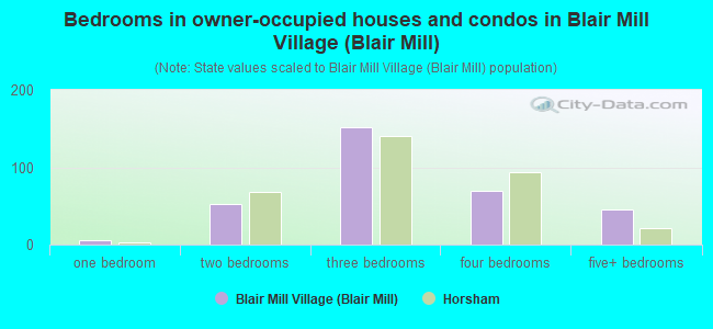 Bedrooms in owner-occupied houses and condos in Blair Mill Village (Blair Mill)