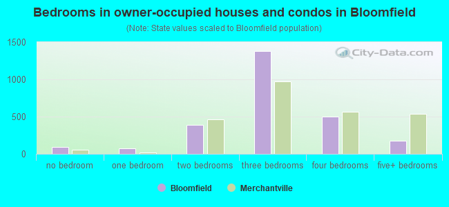 Bedrooms in owner-occupied houses and condos in Bloomfield