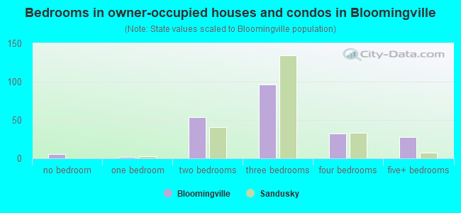 Bedrooms in owner-occupied houses and condos in Bloomingville