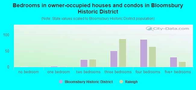 Bedrooms in owner-occupied houses and condos in Bloomsbury Historic District