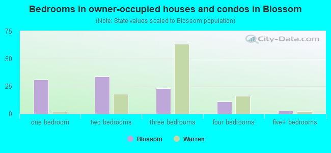 Bedrooms in owner-occupied houses and condos in Blossom