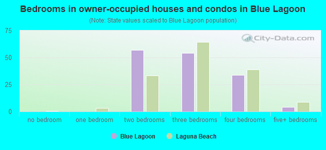 Bedrooms in owner-occupied houses and condos in Blue Lagoon