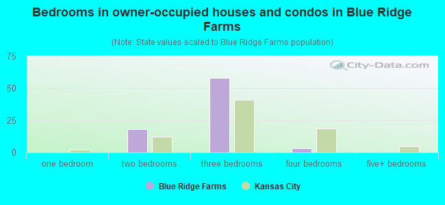 Bedrooms in owner-occupied houses and condos in Blue Ridge Farms