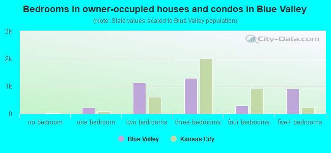 Bedrooms in owner-occupied houses and condos in Blue Valley