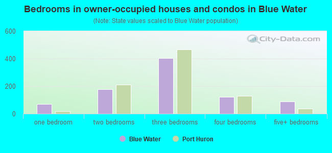 Bedrooms in owner-occupied houses and condos in Blue Water