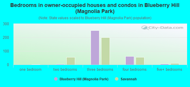 Bedrooms in owner-occupied houses and condos in Blueberry Hill (Magnolia Park)