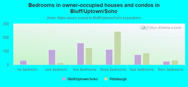Bedrooms in owner-occupied houses and condos in Bluff/Uptown/Soho