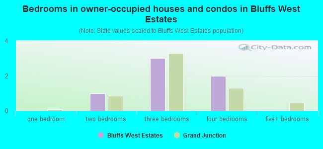 Bedrooms in owner-occupied houses and condos in Bluffs West Estates