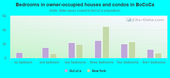 Bedrooms in owner-occupied houses and condos in BoCoCa