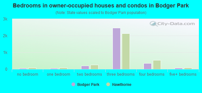 Bedrooms in owner-occupied houses and condos in Bodger Park