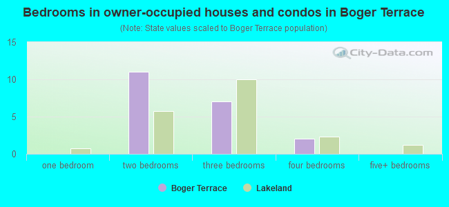 Bedrooms in owner-occupied houses and condos in Boger Terrace