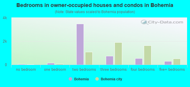 Bedrooms in owner-occupied houses and condos in Bohemia
