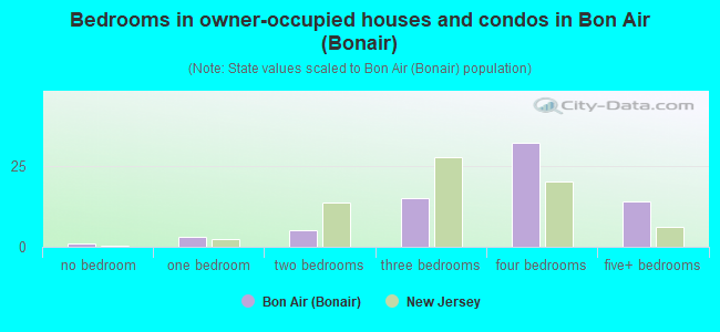 Bedrooms in owner-occupied houses and condos in Bon Air (Bonair)