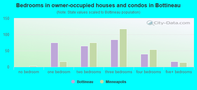 Bedrooms in owner-occupied houses and condos in Bottineau