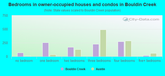 Bedrooms in owner-occupied houses and condos in Bouldin Creek