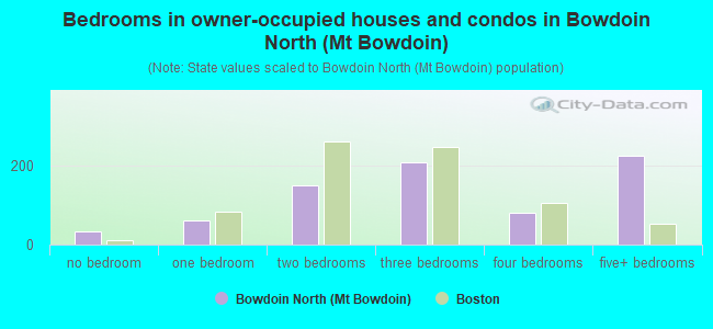 Bedrooms in owner-occupied houses and condos in Bowdoin North (Mt Bowdoin)
