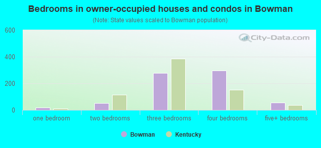Bedrooms in owner-occupied houses and condos in Bowman