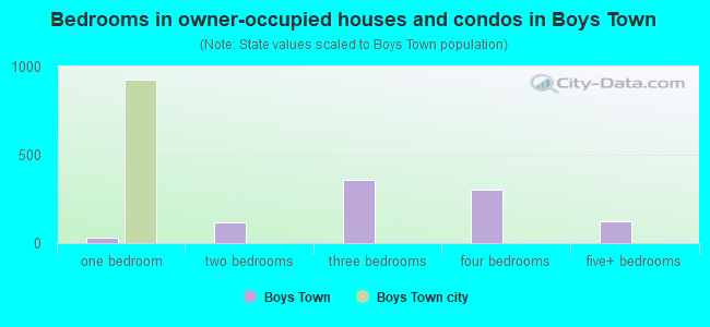 Bedrooms in owner-occupied houses and condos in Boys Town