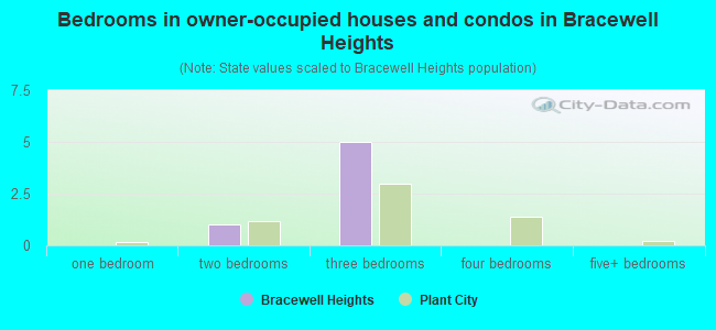 Bedrooms in owner-occupied houses and condos in Bracewell Heights