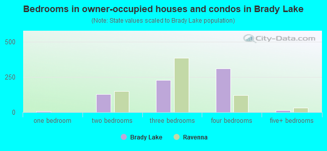 Bedrooms in owner-occupied houses and condos in Brady Lake