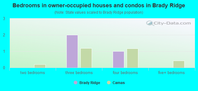 Bedrooms in owner-occupied houses and condos in Brady Ridge