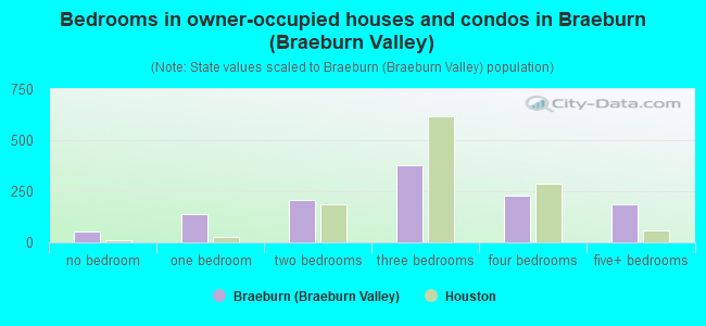 Bedrooms in owner-occupied houses and condos in Braeburn (Braeburn Valley)