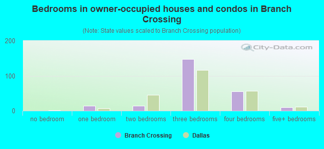 Bedrooms in owner-occupied houses and condos in Branch Crossing