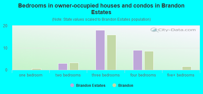 Bedrooms in owner-occupied houses and condos in Brandon Estates