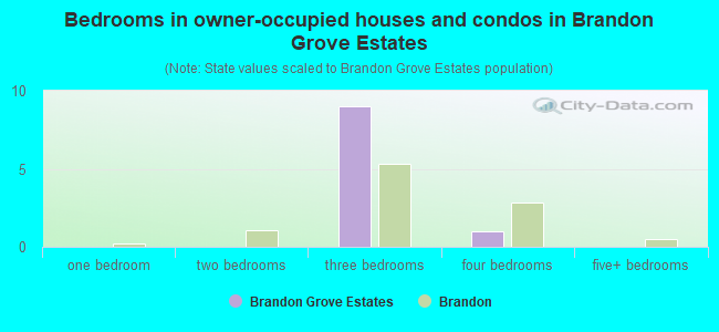 Bedrooms in owner-occupied houses and condos in Brandon Grove Estates