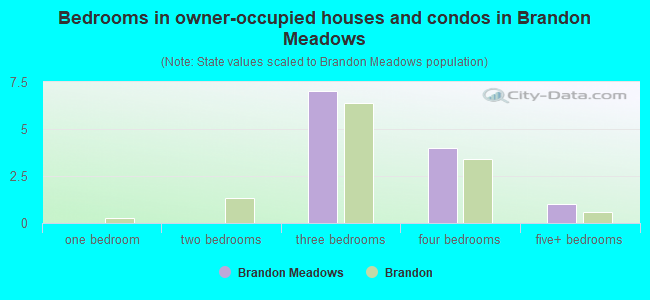Bedrooms in owner-occupied houses and condos in Brandon Meadows