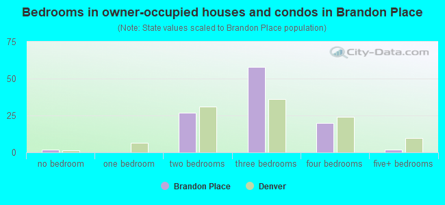 Bedrooms in owner-occupied houses and condos in Brandon Place