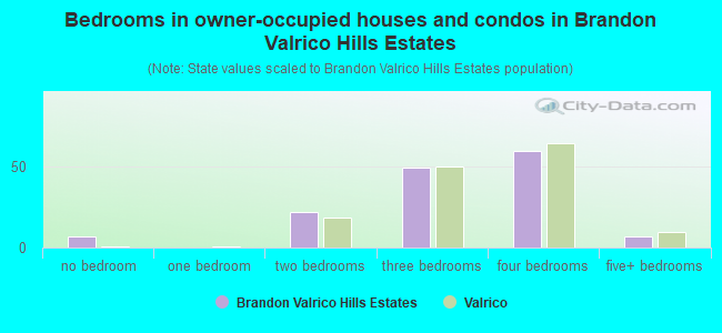 Bedrooms in owner-occupied houses and condos in Brandon Valrico Hills Estates