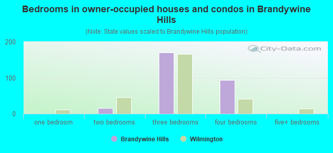 Bedrooms in owner-occupied houses and condos in Brandywine Hills