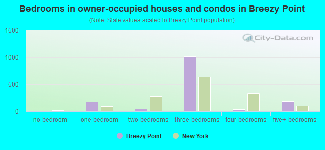 Bedrooms in owner-occupied houses and condos in Breezy Point