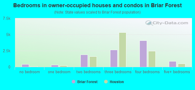 Bedrooms in owner-occupied houses and condos in Briar Forest
