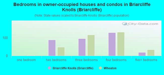 Bedrooms in owner-occupied houses and condos in Briarcliffe Knolls (Briarcliffe)