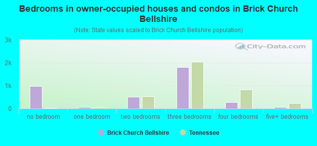 Bedrooms in owner-occupied houses and condos in Brick Church Bellshire