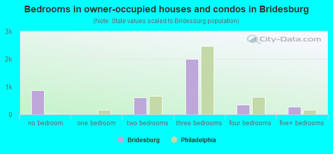 Bedrooms in owner-occupied houses and condos in Bridesburg