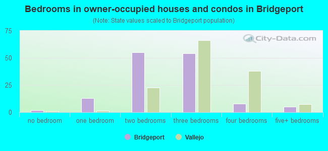 Bedrooms in owner-occupied houses and condos in Bridgeport
