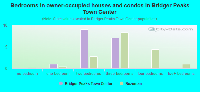Bedrooms in owner-occupied houses and condos in Bridger Peaks Town Center