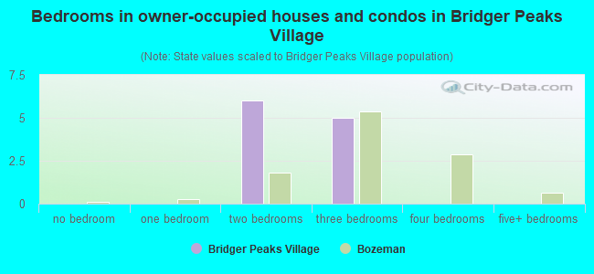 Bedrooms in owner-occupied houses and condos in Bridger Peaks Village