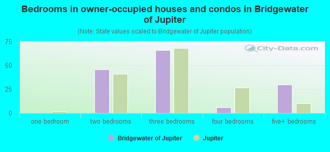 Bedrooms in owner-occupied houses and condos in Bridgewater of Jupiter