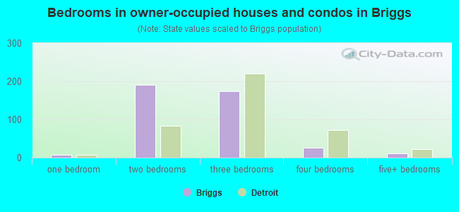 Bedrooms in owner-occupied houses and condos in Briggs