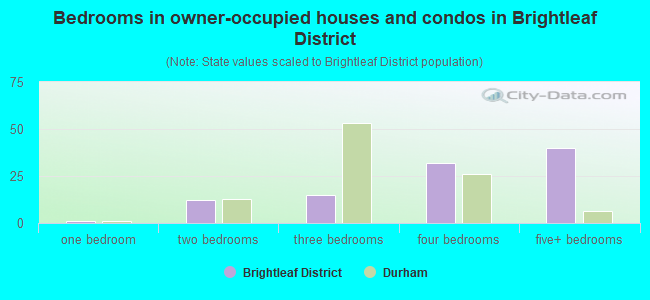 Bedrooms in owner-occupied houses and condos in Brightleaf District