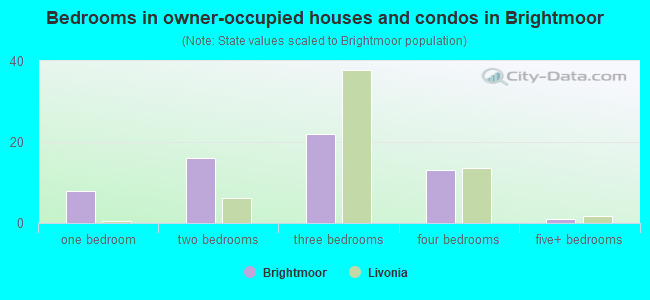 Bedrooms in owner-occupied houses and condos in Brightmoor
