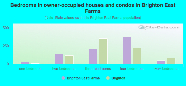 Bedrooms in owner-occupied houses and condos in Brighton East Farms