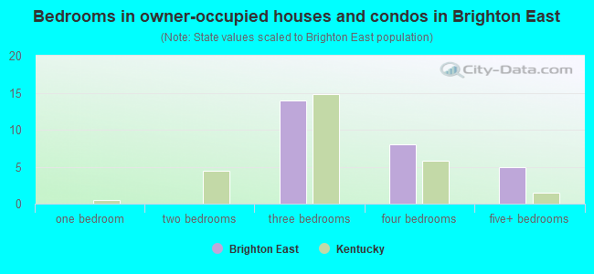 Bedrooms in owner-occupied houses and condos in Brighton East