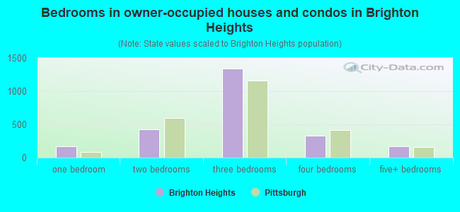 Bedrooms in owner-occupied houses and condos in Brighton Heights