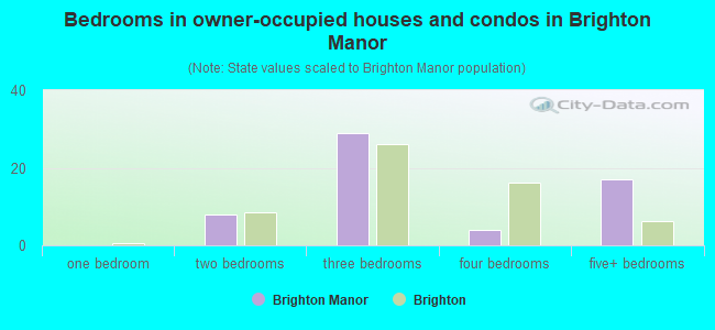 Bedrooms in owner-occupied houses and condos in Brighton Manor